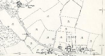 The western part of Common Road in 1901